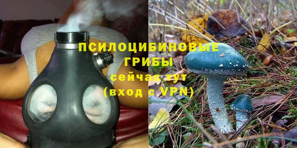 ПСИЛОЦИБИНОВЫЕ ГРИБЫ Богородицк