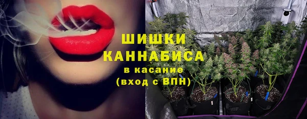 ПСИЛОЦИБИНОВЫЕ ГРИБЫ Богородицк