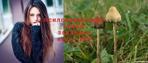 МДПВ Богородск