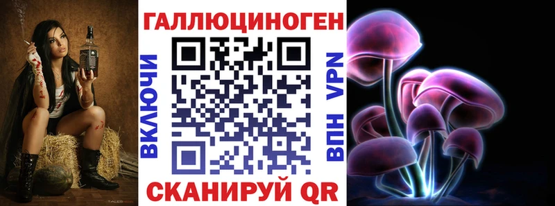 купить   Рязань  Галлюциногенные грибы Cubensis 