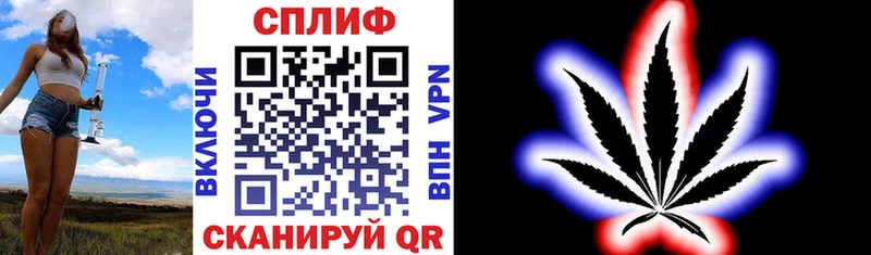 Каннабис сатива  OMG ТОР  Рязань 